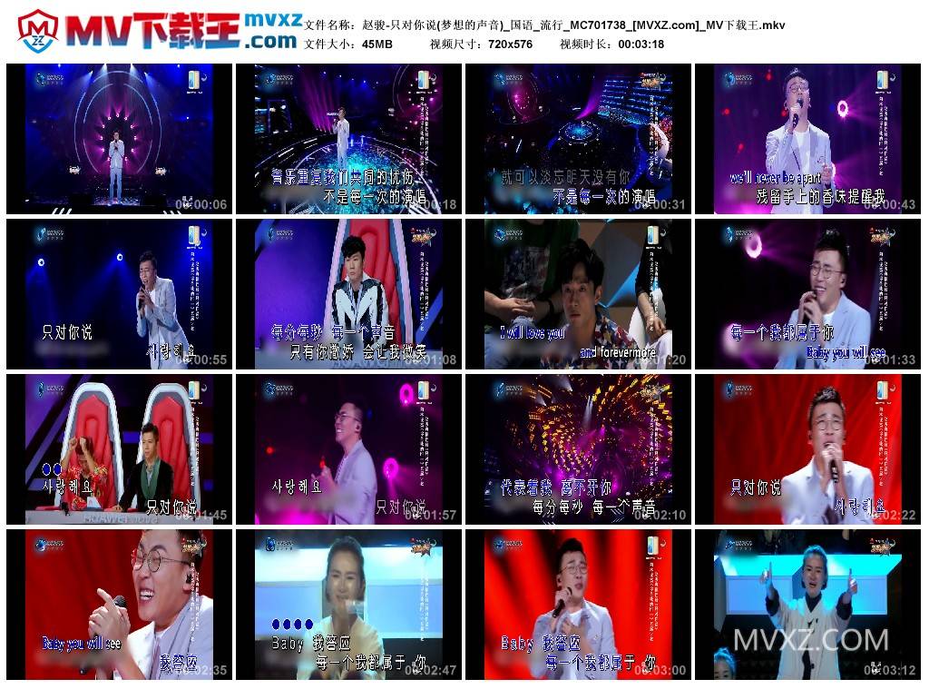 赵骏-只对你说(梦想的声音)_国语_流行_MC701738